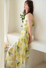 Load image into Gallery viewer, Dorothy&#39;s Spring Dress
