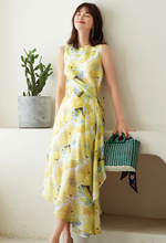 Load image into Gallery viewer, Dorothy&#39;s Spring Dress
